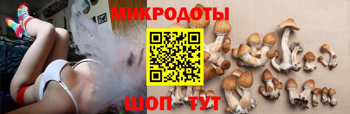 Галлюциногенные грибы GOLDEN TEACHER  купить закладку  Великий Новгород  Вход с VPN 